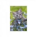 Minipuzzle 54 db - állatok