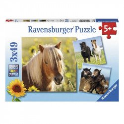Puzzle 3x49 db - Szépséges lovak 100-499 darabos puzzle Ravensburger