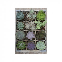 Puzzle 300 db - Zöld