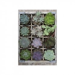 Puzzle 300 db - Zöld 100-499 darabos puzzle Ravensburger