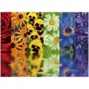 Ravensburger: Puzzle 500 db - Virágsávok