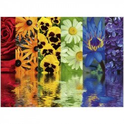 Ravensburger: Puzzle 500 db - Virágsávok 500-999 darabos puzzle Ravensburger