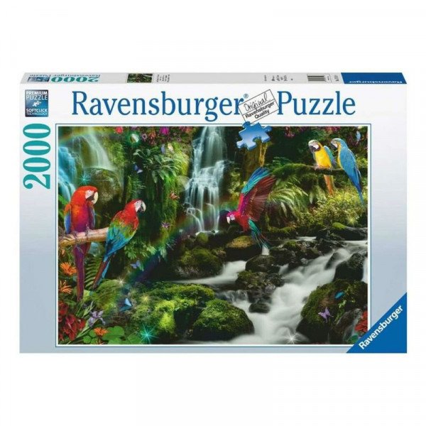 Puzzle 2000 db - Színes papgájok a dzsungelban