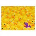 Puzzle 1000 db - Gumikacsák