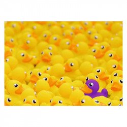 Puzzle 1000 db - Gumikacsák 1000-2999 darabos puzzle Ravensburger