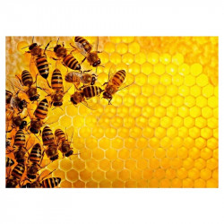 Puzzle 1000 db - Méhek