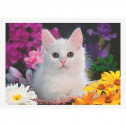 Puzzle 100 db - Csillámcicák 100-499 darabos puzzle Ravensburger