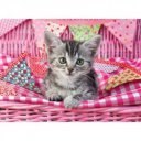 Puzzle 100 db - Aranyos cicák