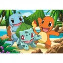 Puzzle 2x24 db - Pokemon