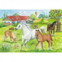 Puzzle 2x24 db - Lófarm