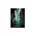 Puzzle 200 db - Harry Potter a mágus