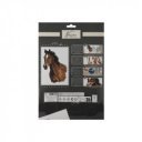 Fess számok szerint, 33, 5x23, 8 cm, ló