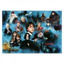 Puzzle 1000 db - Harry Potter varázslatos világa