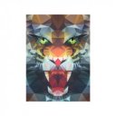 Puzzle 500 db - Oroszlán