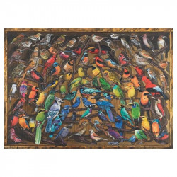 Puzzle 1000 db - Madarak