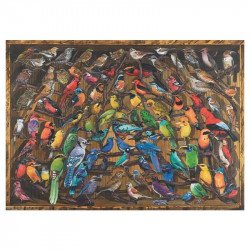 Puzzle 1000 db - Madarak 1000-2999 darabos puzzle Ravensburger