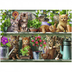 Puzzle 500 db - Cicák a polcon