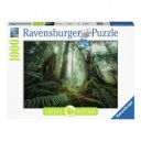 Puzzle 1000 db - Fák