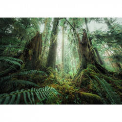 Puzzle 1000 db - Fák