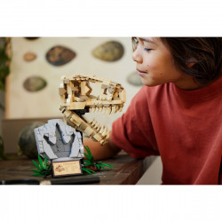 LEGO 76964 Dinoszaurusz maradványok: T-Rex koponya
