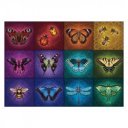 Puzzle 1000 db - Szárnyas rovarok