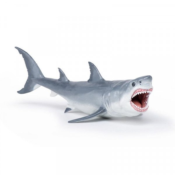 Megalodon Megalodon