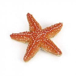 Papo: Tengeri csillag Állatfigura, állatszett PAPO