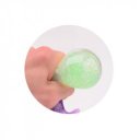 Tapadókorongos polip, 4 féle