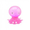 Tapadókorongos polip, 4 féle