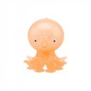 Tapadókorongos polip, 4 féle