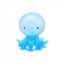 Tapadókorongos polip, 4 féle