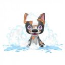 Pancsoló kutyusok, jacuzzival