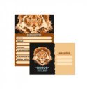 Parti meghívó borítékkal - többféle