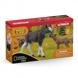 Schleich jávorszarvas borjúval (natgeo) Állatfigura, állatszett Schleich