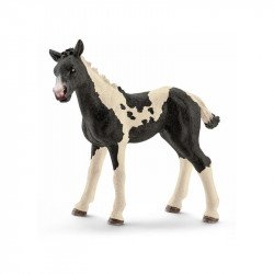 Schleich Pinto csikó Állatfigura, állatszett Schleich