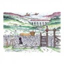 Puzzle 1000 db - Yorkshire