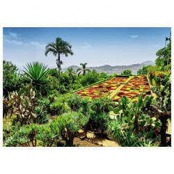 Puzzle 1000 db - Botanikus kert Madeira
