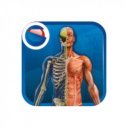 Tudomány és játék - Az emberi test tudományos készlet