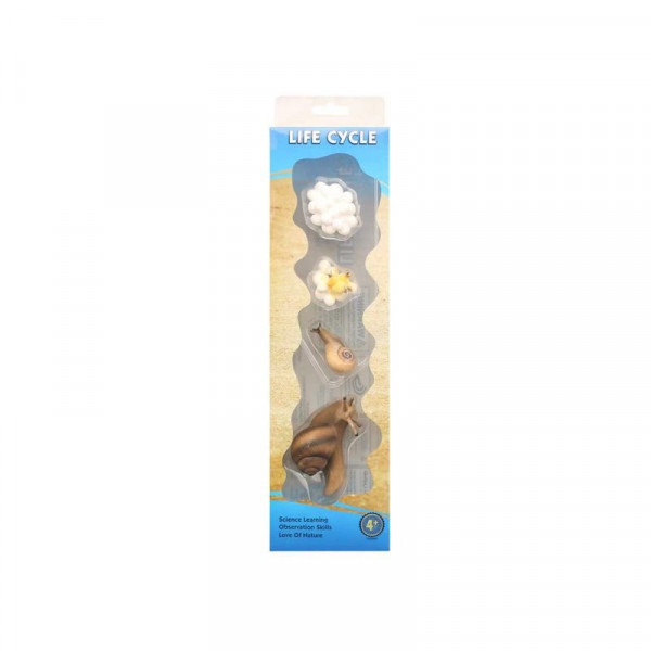 Az élet körforgása - csiga