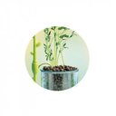 Hidroponikus botanikai labor készlet