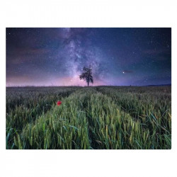 Puzzle 1500 db - Csillagos ég