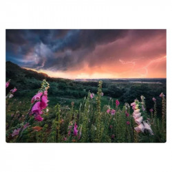Puzzle 1000 db - Vihar előtt