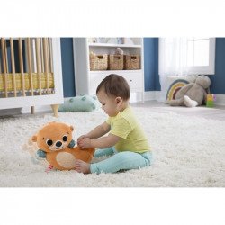Fisher-Price sensimals foglalkoztató vidrapajti Bébijáték, kellék Fisher-Price