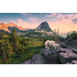 Puzzle 3000 db - Hegyikecske gidával 3000+ darabos puzzle Ravensburger
