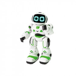 Bionic - programozható robot