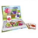 Mágneses könyv - gyümölcsök