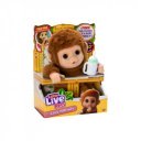 Little Live Pets Maki Babám