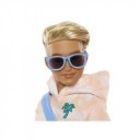 Barbie dream teens baba - Ken