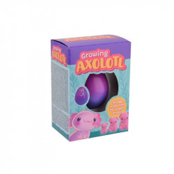 Növő axolotl tojás dobozban, 4 féle Állatfigura, állatszett