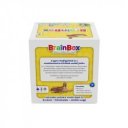 Brainbox, a világ városai új